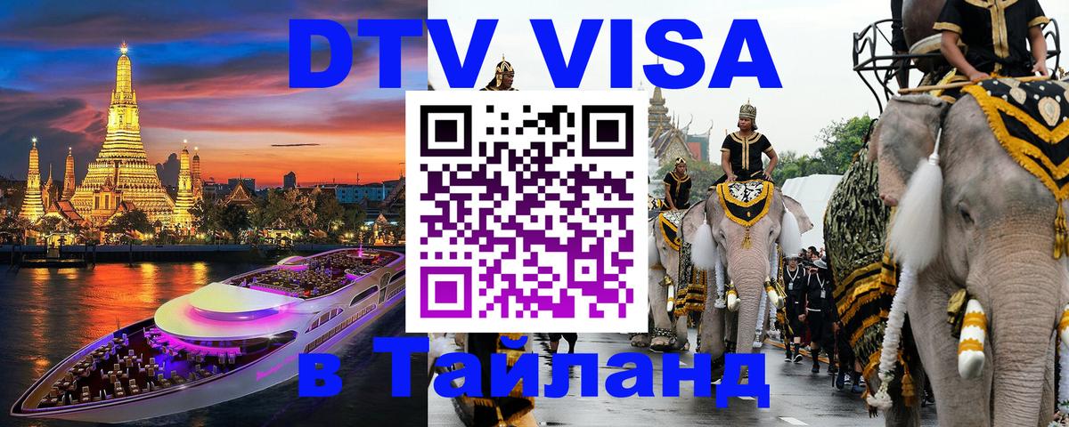 Оформление DTV визы под ключ: стоимость и тарифы, только загранпаспорт - Кишинёв  18.11.2025 